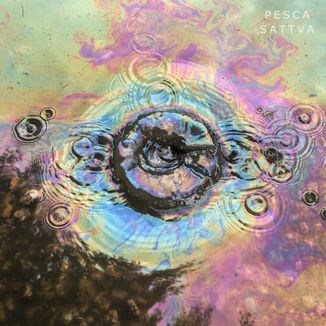 Foto da capa: Sattva