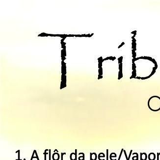 Foto da capa: TRIBUTO À CULTURA - VOL I