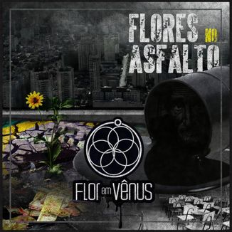 Foto da capa: Flores no Asfalto