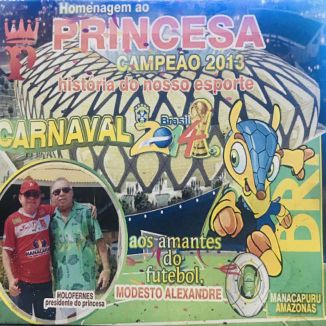 Foto da capa: Carnaval 2014 - Homenagem ao Princesa Campeão 2013