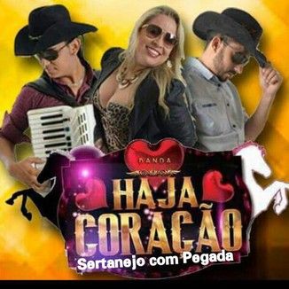 Foto da capa: Banda Haja Coração - Sertanejo com pegada 01