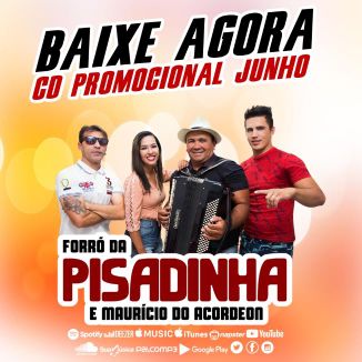 Foto da capa: CD PROMOCIONAL - FORRÓ DA PISADINHA
