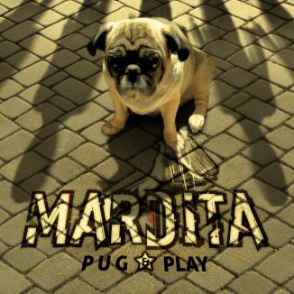 Foto da capa: Pug & Play