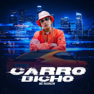 Foto da capa: Carro Bicho