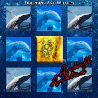 Foto da capa: Dolphins And Whales