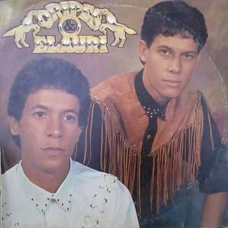 Foto da capa: 1º disco (vinil)