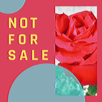 Foto da capa: Not For Sale