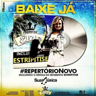 Foto da capa: FORROZAO ELITE CD PROMOCIONAL AO VIVO 2015