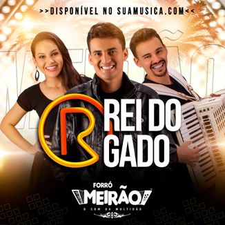 Foto da capa: Rei do Gado - Forró Meirão