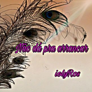 Foto da capa: Não dá pra arrancar