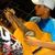 Filipe