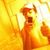 Matheus