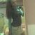 Evelyn Guedes