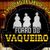 FORRÓ DO VAQUEIRO