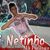 DJ NETINHO O MELHOR DO BREGA