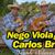 NEGO VIOLA  E CARLOS BRITO