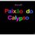 Banda Paixão do Calypso