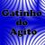 Gatinho do Agito