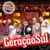 Grupo Geração Sul