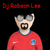 DJ Robson Lee