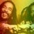 Israel Vibration