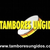 Tambores Ungidos ® OFICIAL