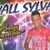 VALL SYLVA - NOVO-CD PROMOCIONAL
