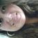 Imagem de perfil de Alessandra Dias