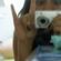 Imagem de perfil de Bruna Roduit