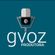Imagem de perfil de Gvoz Produtora