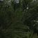 Imagem de perfil de mirna maria silva de araujo