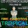 Imagem de FORRO GAROTOS TROPICAL VOLUME02