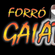 Imagem de Forró Gaiato (OFICIAL)