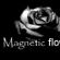 Imagem de Magnetic Flower
