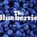 Imagem de The Blueberries