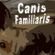 Imagem de Canis Familiaris