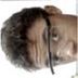 Avatar de vinny_clash fuck you right back