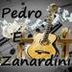 Avatar de Pedro e Zanardini