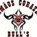 Avatar de Irmãos Corazza Bulls