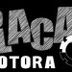 Avatar de Placa Motora