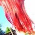 Avatar de PâRuiva