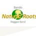 Avatar de Naturalroots @nroots2016