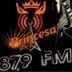 Avatar de Rádio Princesa FM - Ponta Grossa (Pr)