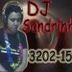 Avatar de DJ Sandrinha