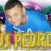 Avatar de Dj Pedro Nascimento Silva