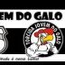 Jovem do Galo