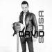 David Sousa
