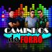Banda Caminhos do forró