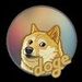 Doge