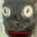 foto de felipy anastacio